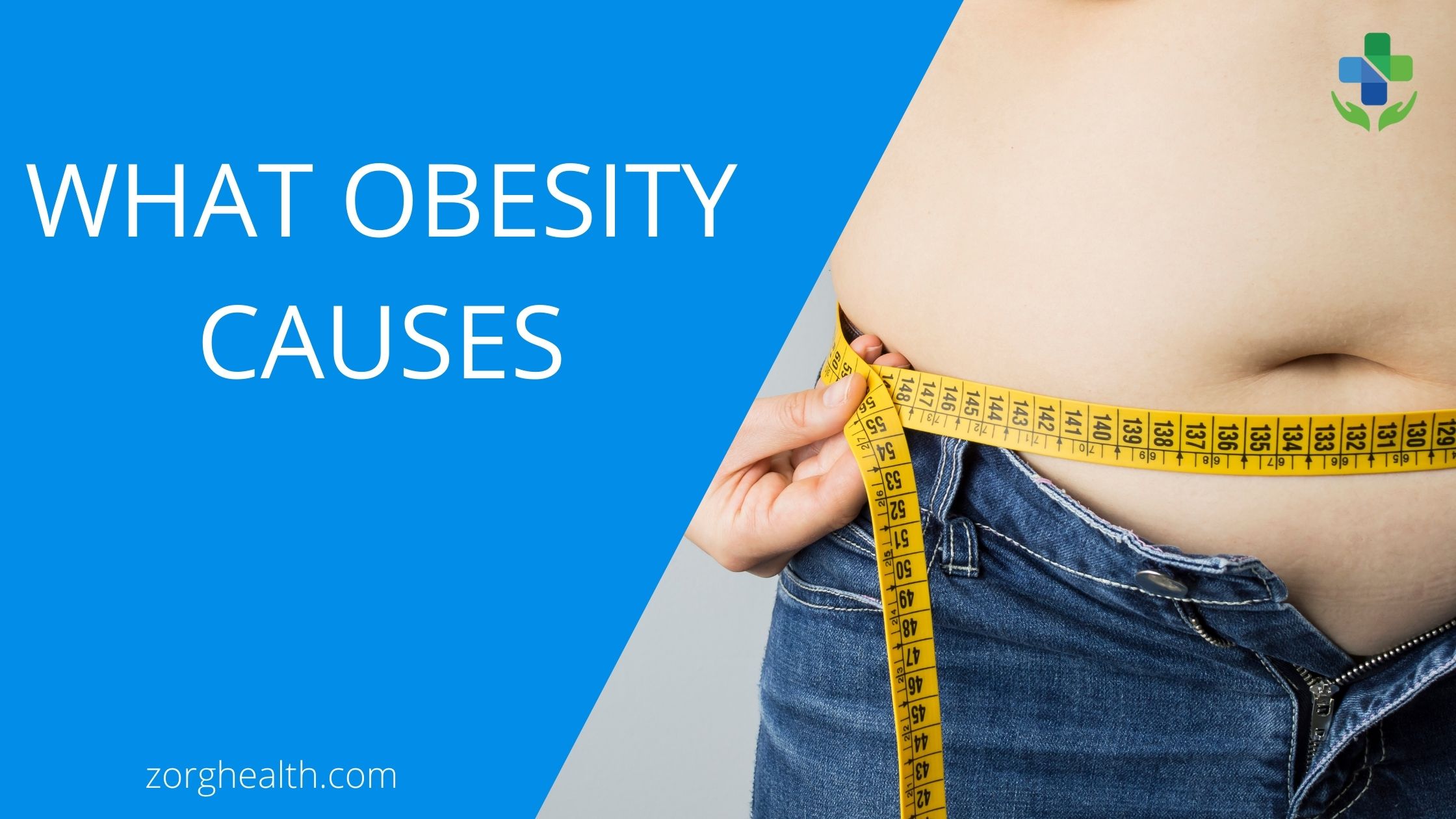 What Obesity Causes - Zorg Health